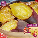 【ふるさと納税】さつまいも なると金時 紅吉(べにきち)5kg 新芋 芋 いも | 野菜 やさい 食品 人気 おすすめ 送料無料