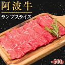 【ふるさと納税】ランプスライス 約500g | 肉 お肉 にく 牛肉 和牛 食品 徳島産 ギフト
