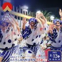 【ふるさと納税】【8月12日(火)第1部第2部】徳島市 2025 阿波おどり あわぎん南内町演舞場 SS席