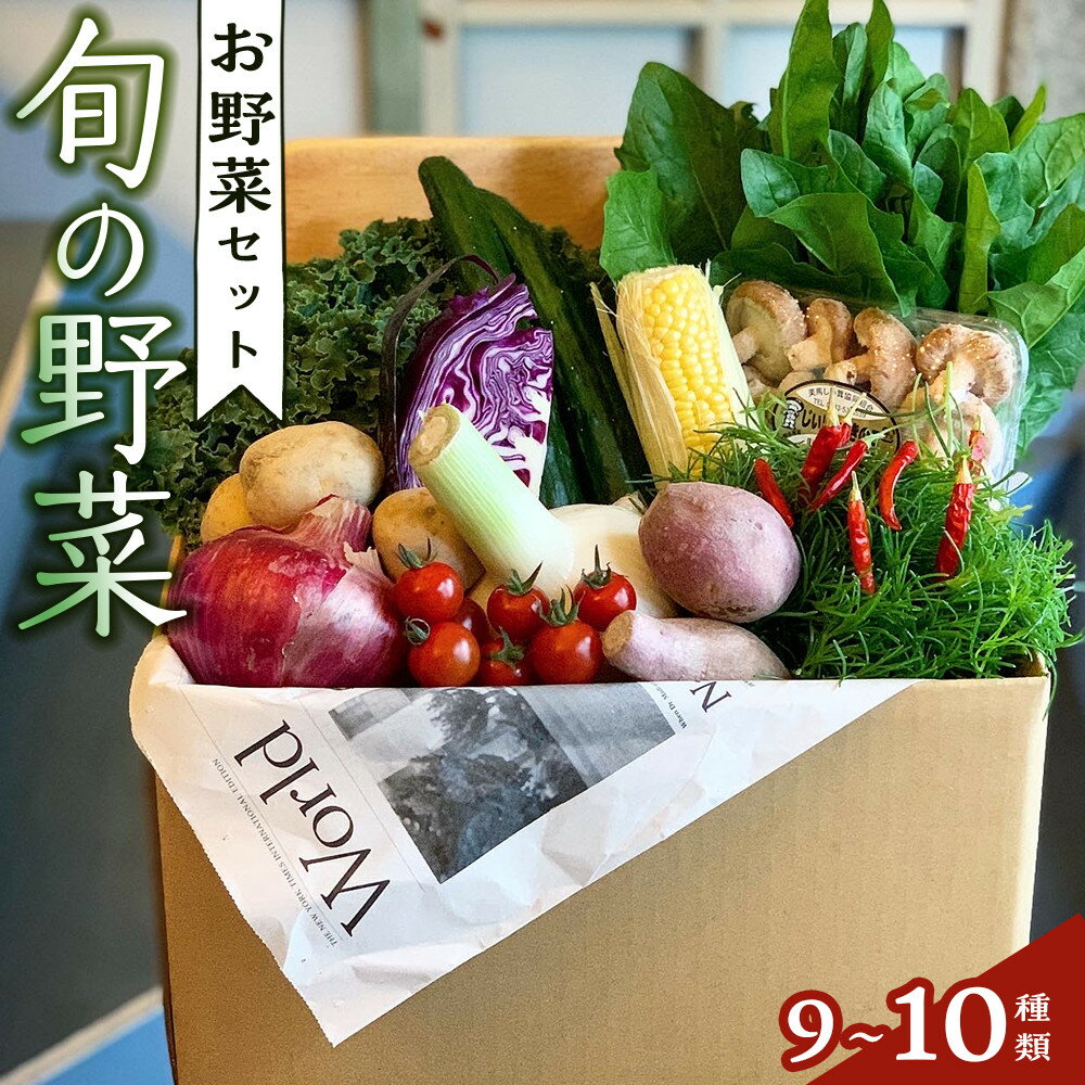 【ふるさと納税】野菜セット 旬の野菜 （9~10種類) | 季節 野菜 ボックス BOX セット セ ...