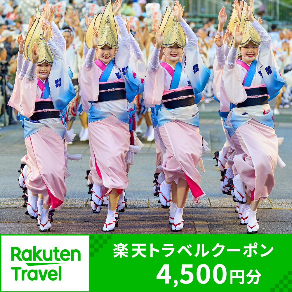 【ふるさと納税】徳島県徳島市の対象施設で使える楽天トラベルクーポン 寄付額15,000円 ホテル 旅館 宿泊予約 旅行 予約 宿泊 連泊 国内 旅行クーポン 宿泊券 旅行券 チケット 春 夏 秋 冬 ビジネスのサムネイル
