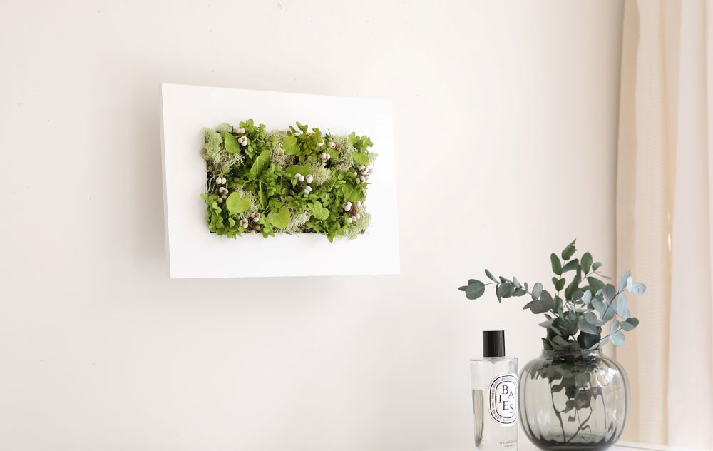 徳島県鳴門市の画像2