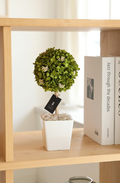 徳島県鳴門市の画像3