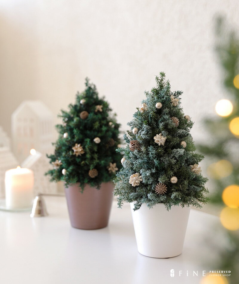 【ふるさと納税】【クリスマス限定！申込は11月30日まで】プリザーブドフラワー ホリデーツリー ＜Fine＞ ｜花 ギフト プレゼント アレンジ おしゃれ 母の日 誕生日 結婚祝い 退職祝い お祝い クリスマス