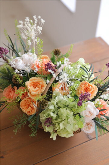 �ڤդ뤵��Ǽ�ǡۥץꥶ���֥ɥե� �ե���塼���Fine�� �ò� ���ե� �ץ쥼��� ����� ������� ����� ������ �뺧�ˤ� �࿦�ˤ� ���ˤ�