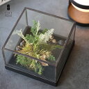 【ふるさと納税】プリザーブドフラワー ジャルダン (ブラック スクエア)<Fine> |花 ギフト プレゼント アレンジ おしゃれ 母の日 誕生日 結婚祝い 退職祝い お祝い(4)