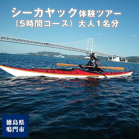 【ふるさと納税】徳島 の海を満喫！ シーカヤック 体験ツアー（5時間コース）大人1名分