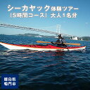 【ふるさと納税】徳島 の海を満喫！ シーカヤック 体験ツアー（5時間コース）大人1名分