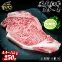 yӂ邳Ɣ[Łzјa  250g Xe[Lp  6񂨓͂ v1.5kg Ԑg Y  Ⓚ  O Mtg a ~ Jbg 