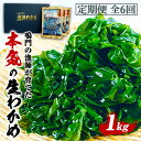 【ふるさと納税】定期便 6回 お届け 生わかめ 1kg (100g×10袋)