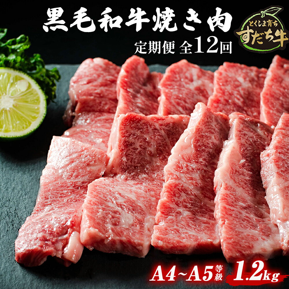 【ふるさと納税】定期便 12回お届け すだち牛 黒毛和牛 （ 焼肉用 ） 1.2kg