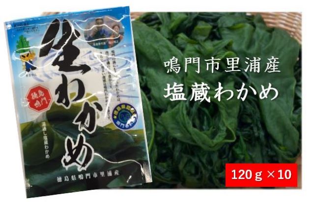 鳴門市里浦産 塩蔵わかめ 1.2kg（120g×10袋）＜貴彩＞ ｜ 鳴門わかめ 国産 徳島 小分け ギフト 贈り物