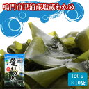 【ふるさと納税】鳴門市里浦産 塩蔵わかめ 1.2kg(120g×10袋)<貴彩> | 鳴門わかめ 国産 徳島 小分け ギフト 贈り物