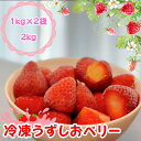 【ふるさと納税】 KISAI GARDEN 冷凍 うずしおベリー 2kg | 苺 いちご イチゴ 徳島 鳴門 果物 フルーツ スムージー ジャム