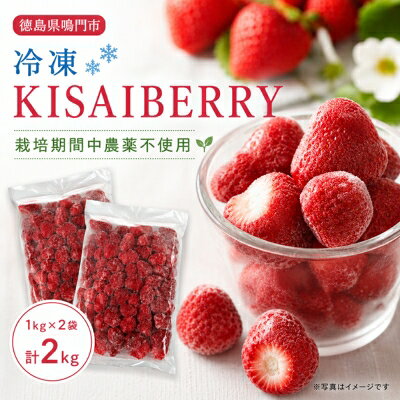 【ふるさと納税】 KISAI GARDEN 冷凍 KISAI BERRY 2kg | 苺 いちご イチゴ 徳島 鳴門 果物 フルーツ スムージー ジャム