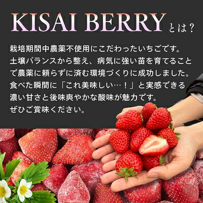 【ふるさと納税】 KISAI GARDEN 冷凍 KISAI BERRY 2kg | 苺 いちご イチゴ 徳島 鳴門 果物 フルーツ スムージー ジャム