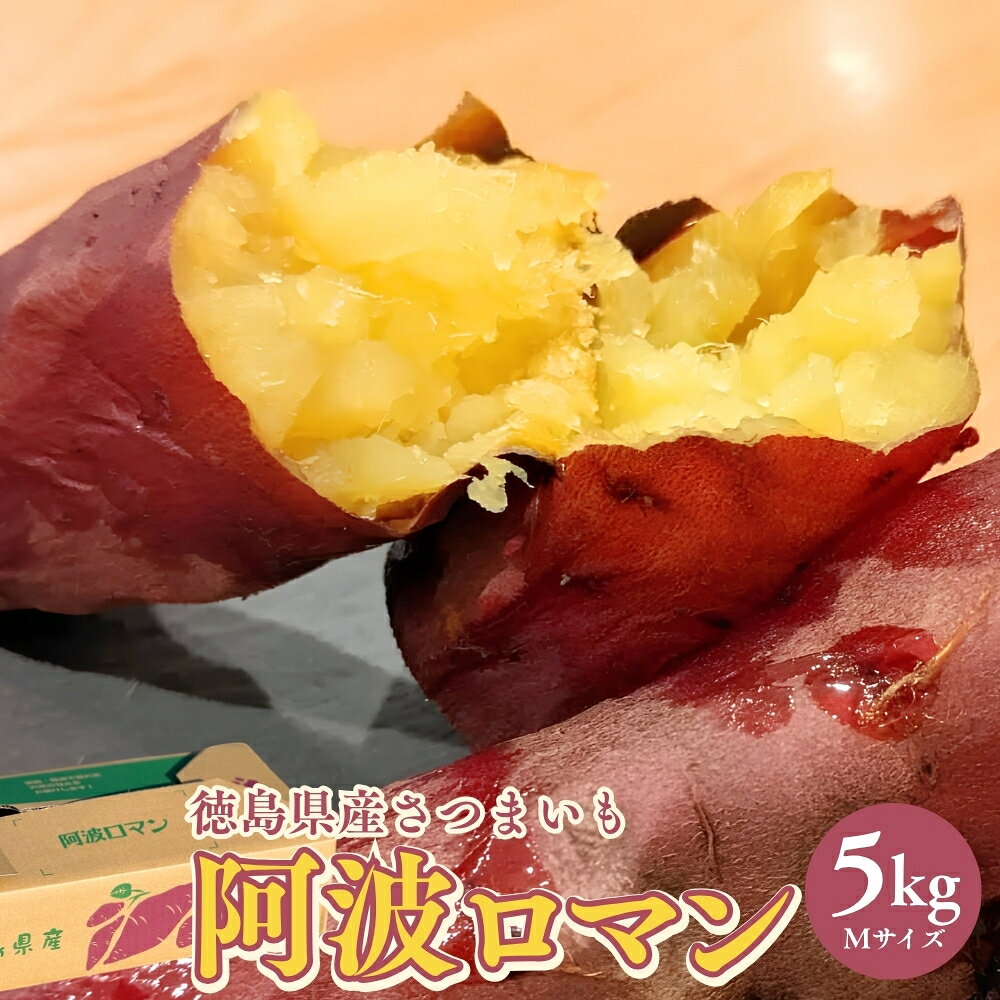 【ふるさと納税】【予約受付中・2026年12月上旬頃より順次発送】鳴門産 さつまいも 阿波ロマン 5kg | なると金時 甘い スイーツ 焼き芋 干し芋