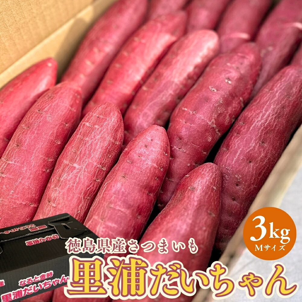 【ふるさと納税】 【予約受付中・2026年10月下旬頃より順次発送】鳴門産 さつまいも 里浦だいちゃん 3kg | なると金時 甘い ホクホク スイーツ 焼き芋 干し芋 天ぷら サラダ けんぴ きんつば