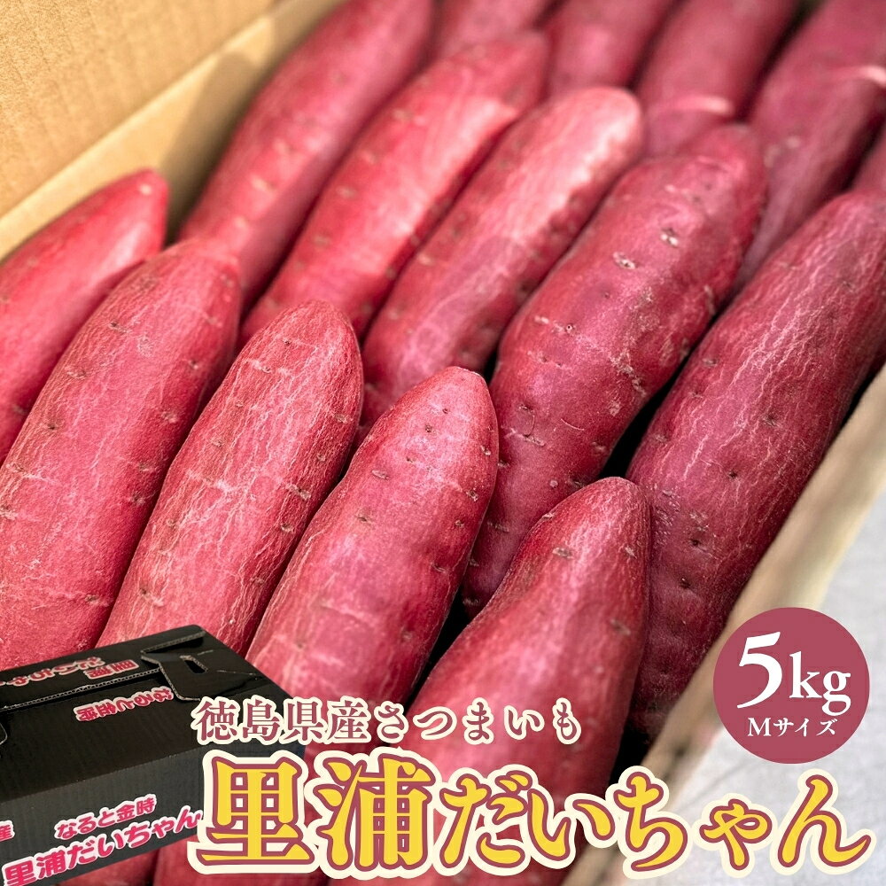 【ふるさと納税】【予約受付中・2026年10月下旬頃より順次発送】鳴門産 さつまいも 里浦だいちゃん 5kg | なると金時 甘い ホクホク スイーツ 焼き芋 干し芋 天ぷら サラダ けんぴ きんつば