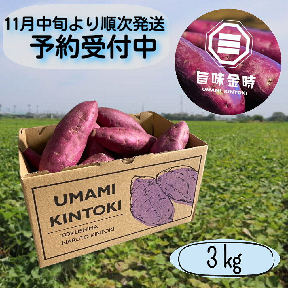 [ 予約受付中・2024年11月中旬頃より順次発送 ]鳴門市 大津産 旨味金時 3kg | 鳴門金時 なると金時 焼き芋 焼芋 焼きいも おやつ 天ぷら 産地直送