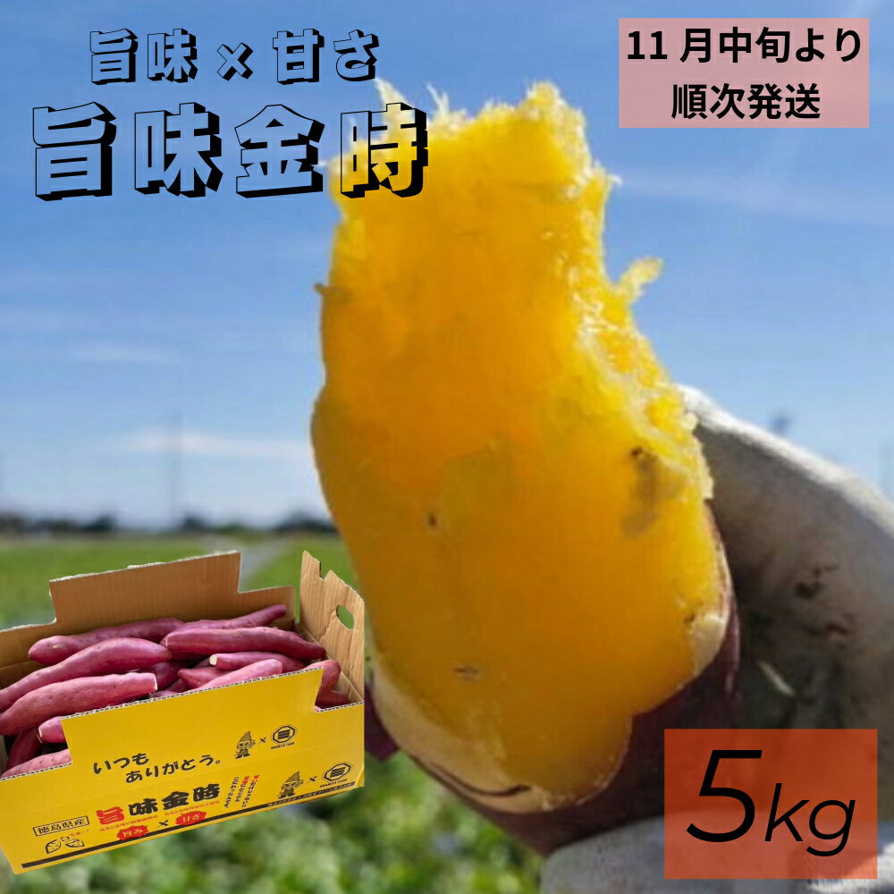 【ふるさと納税】【予約受付中・2025年11月中旬頃より順次発送】 鳴門市大津産 旨味金時 5kg | 鳴門金時 なると金時 焼き芋 焼芋 焼きいも おやつ 天ぷら 産地直送