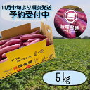 yӂ邳Ɣ[Łz y \tE2024N11{菇 zsÎY | 5kg b  ȂƋ Ă Ĉ Ă  VՂ Yn