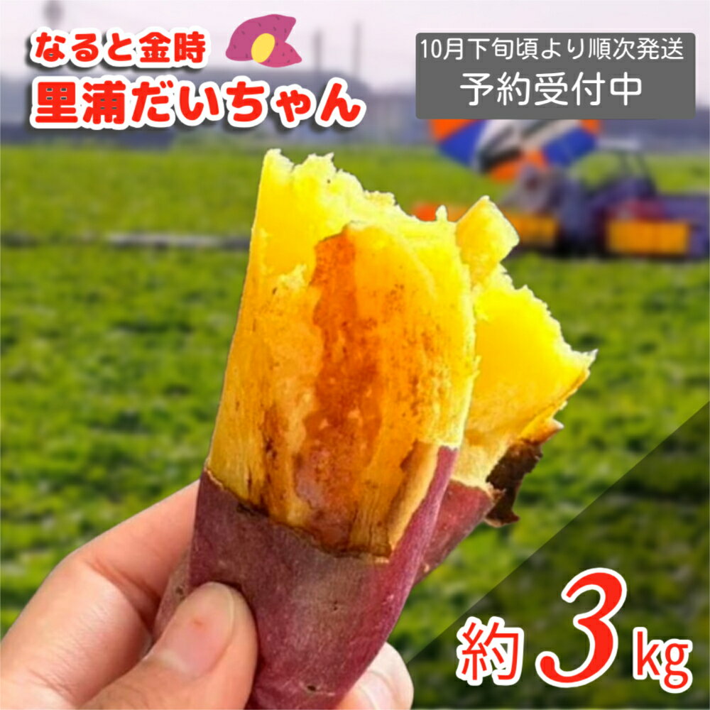 【ふるさと納税】【予約受付中・2025年10月下旬頃より順次発送】 鳴門産 さつまいも 里浦だいちゃん 3kg | なると金時 甘い ホクホク スイーツ 焼き芋 干し芋 天ぷら サラダ けんぴ きんつば