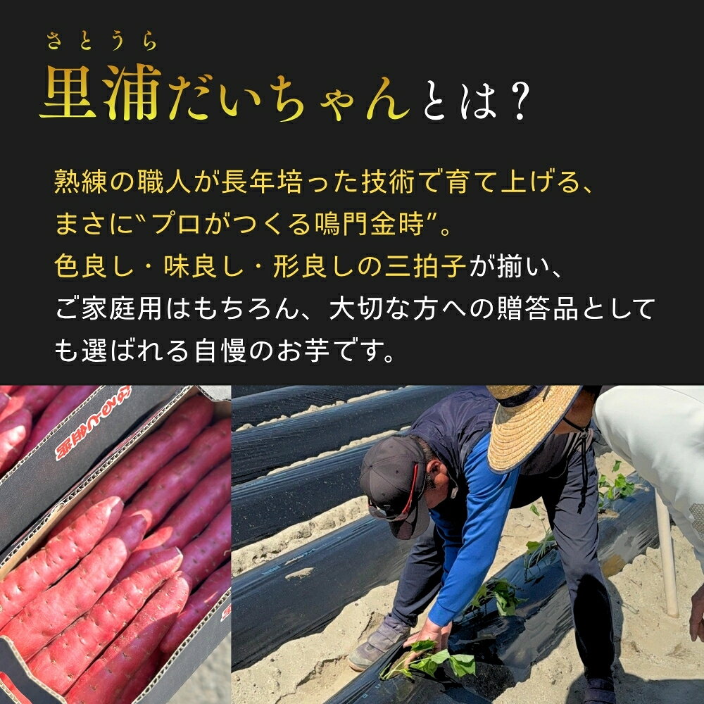 【ふるさと納税】【予約受付中・2026年10月下旬頃より順次発送】鳴門産 さつまいも 里浦だいちゃん 5kg | なると金時 甘い ホクホク スイーツ 焼き芋 干し芋 天ぷら サラダ けんぴ きんつば
