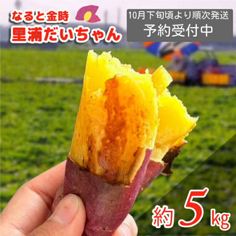 【ふるさと納税】【予約受付中・2025年10月下旬頃より順次発送】鳴門産 さつまいも 里浦だいちゃん 5kg | なると金時 甘い ホクホク スイーツ 焼き芋 干し芋 天ぷら サラダ けんぴ きんつば