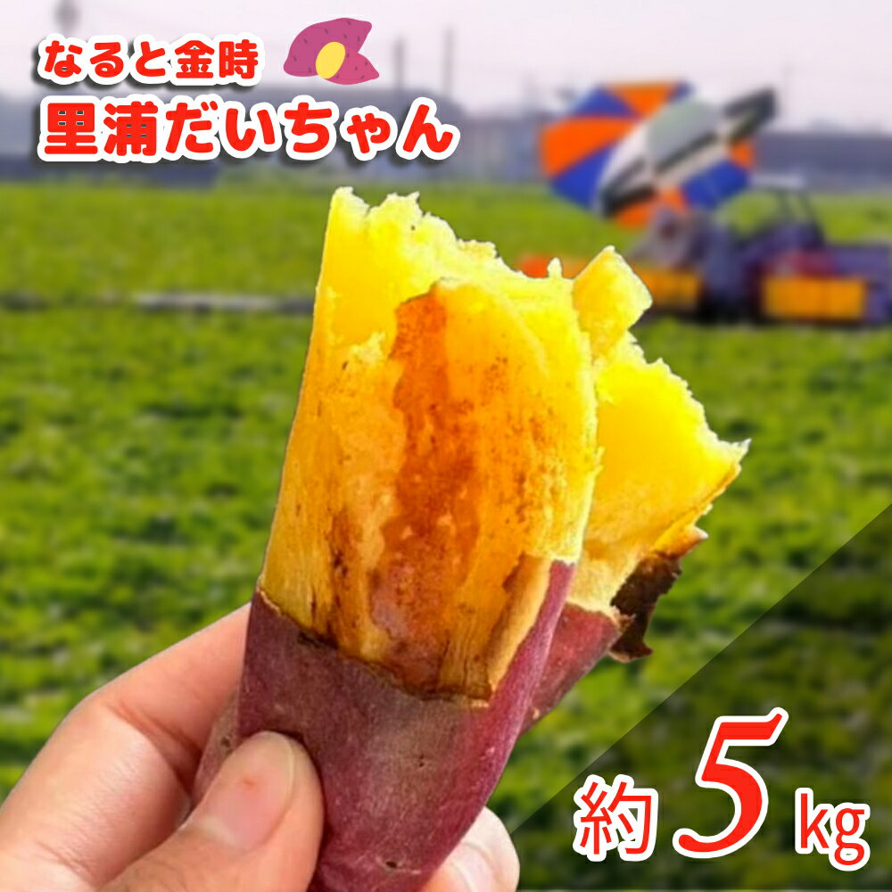 【ふるさと納税】鳴門産 さつまいも 里浦だいちゃん 5kg | なると金時 甘い ホクホク スイーツ 焼き芋 干し芋 天ぷら サラダ けんぴ きんつばのサムネイル