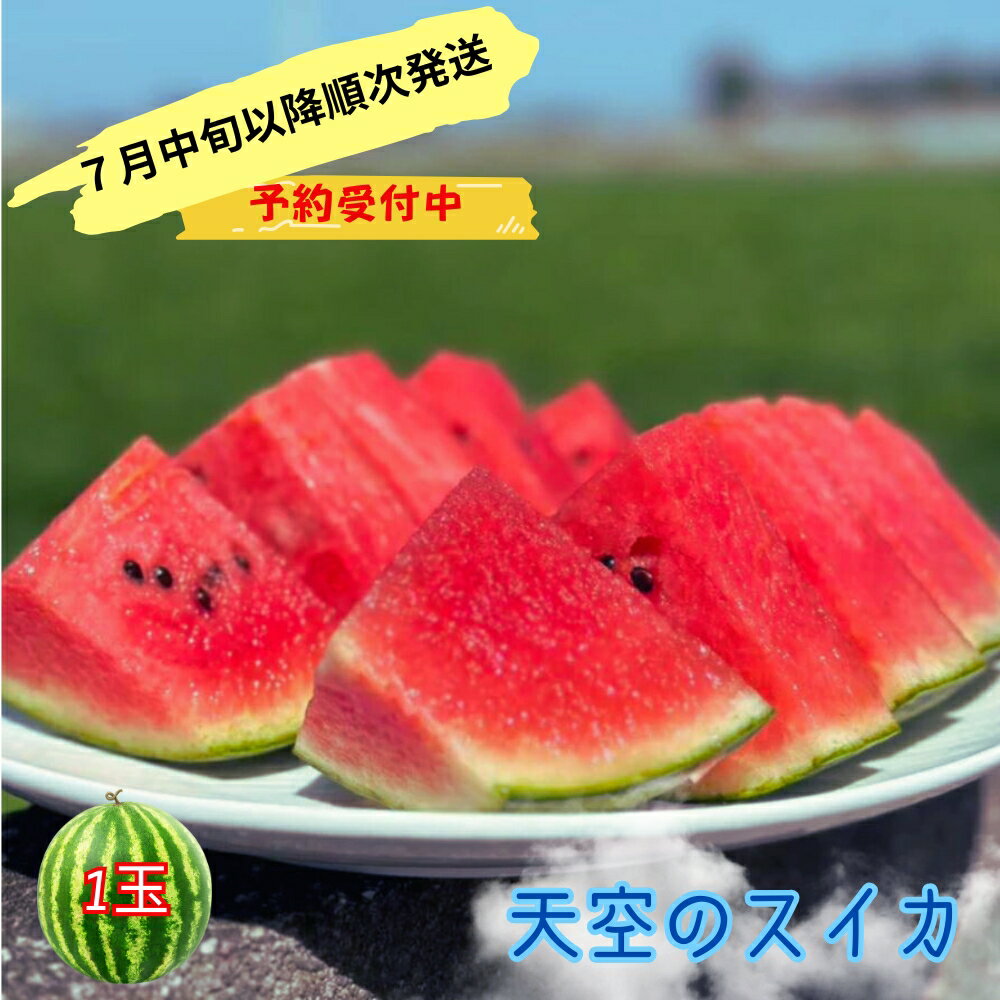 【ふるさと納税】【予約受付中・7月中旬以降順次発送】天空の スイカ 【数量限定】 すいか 西瓜 小玉スイカ 栽培期間中農薬不使用のサムネイル