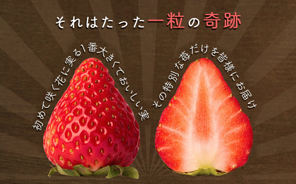 徳島県鳴門市の画像2