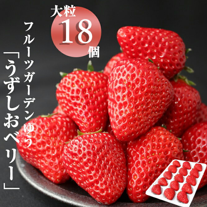 【ふるさと納税】【2024年1月以降順次出荷・予約受付中】フルーツガーデンゆうのイチゴ「うずしおベリー」大粒18個