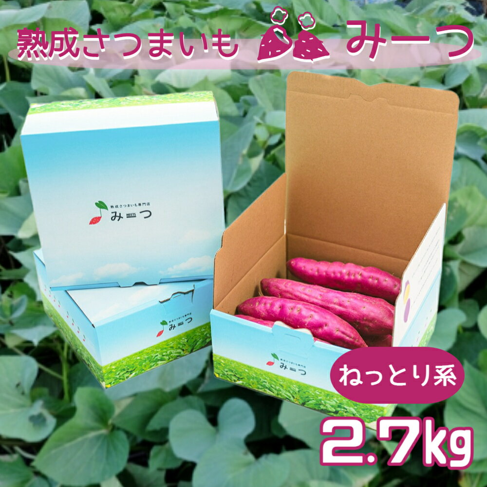 熟成さつまいも みーつ 2.7kg（ ねっとり系 ） ｜ 紅はるか べにはるか 甘い ねっとり 熟成 国産 産地直送 スイーツ おやつ 焼き芋 焼芋 焼きいも スイートポテト 天ぷら 干し芋 ギフト お土産 おみやげ