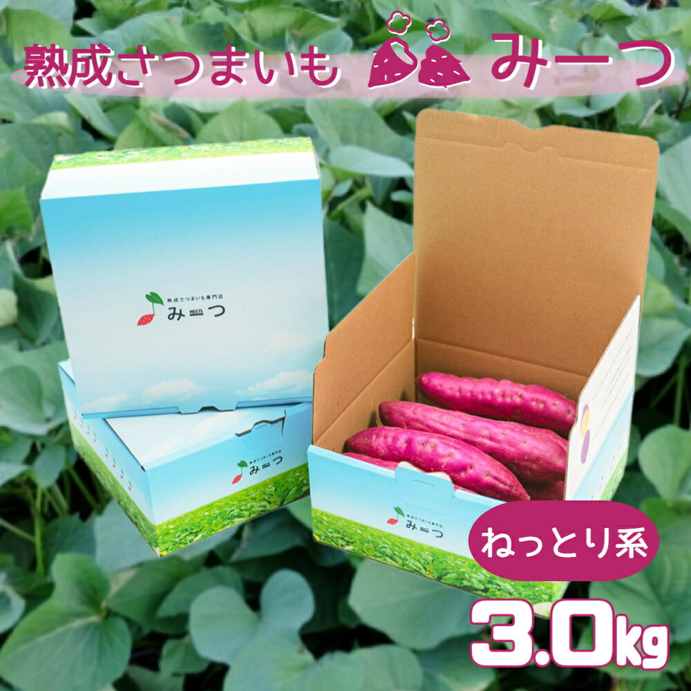 【ふるさと納税】 熟成さつまいも みーつ 3.0kg( ねっとり系 )| 紅はるか べにはるか 甘い ねっとり 熟成 国産 産地直送 スイーツ おやつ 焼き芋 焼芋 焼きいも スイートポテト 天ぷら 干し芋 ギフト お土産 おみやげ