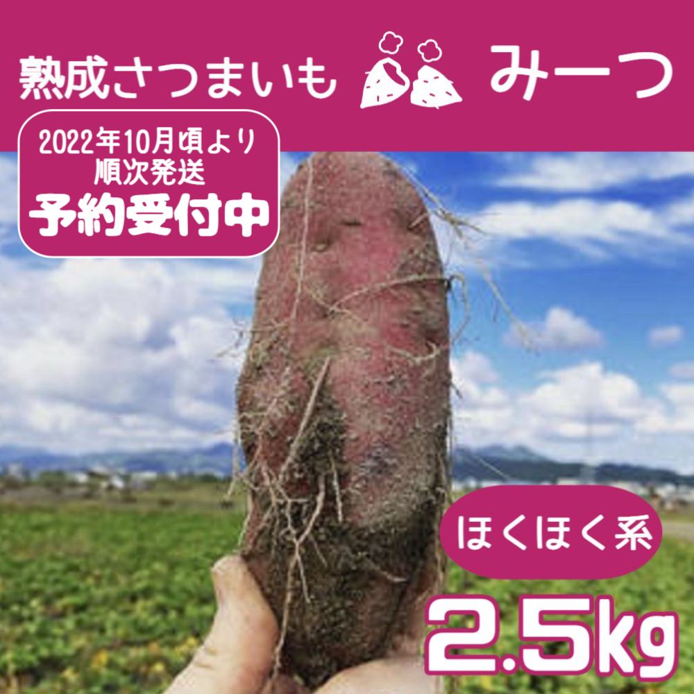 【ふるさと納税】【予約受付中】熟成さつまいも みーつ 2.5kg（ほくほく系）｜ なると金時 甘い 国産 産地直送 スイーツ おやつ 天ぷら 干し芋 ギフト･･･