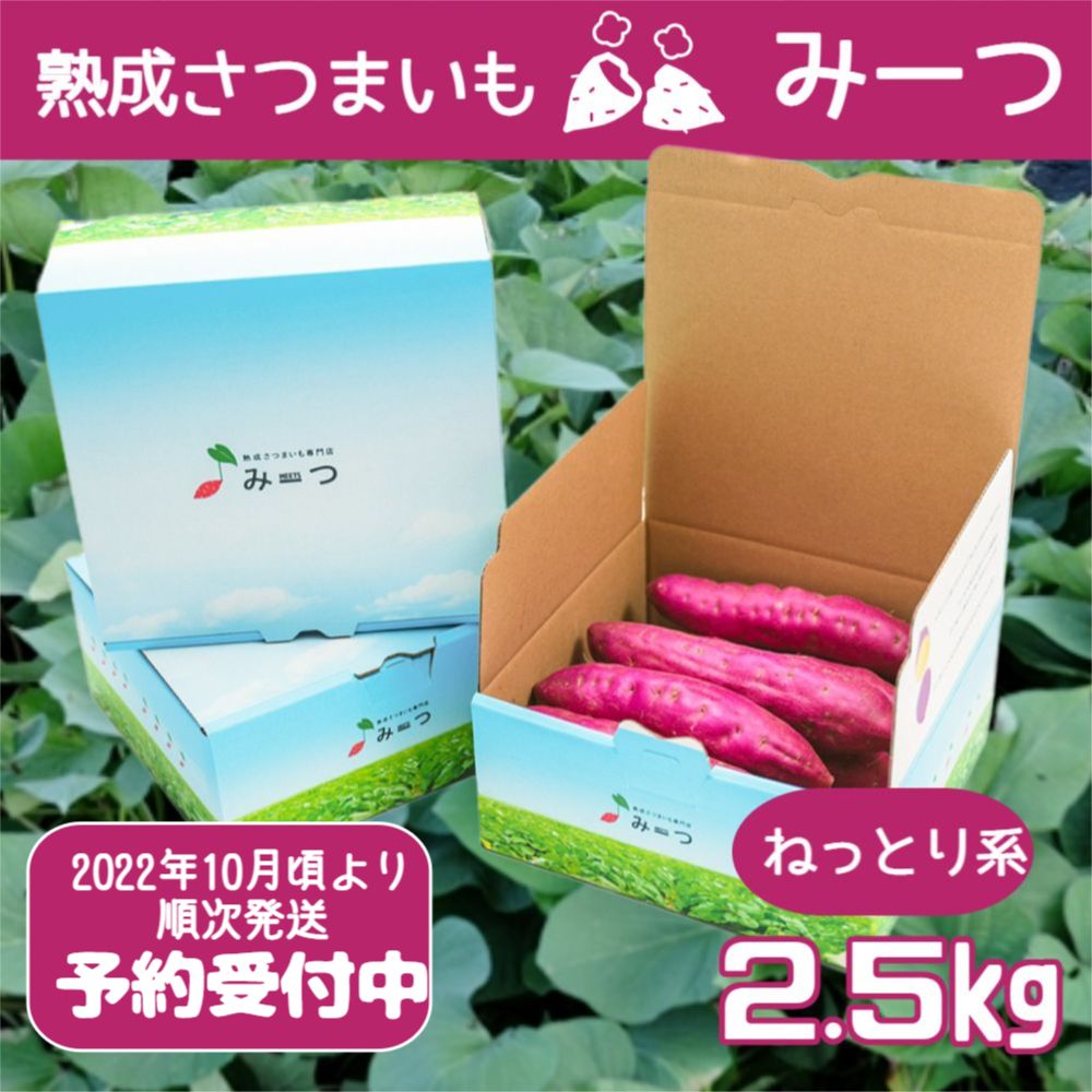 【ふるさと納税】【予約受付中】熟成さつまいも みーつ 2.5kg（ねっとり系）｜ 紅はるか 甘い 国産 産地直送 スイーツ おやつ 天ぷら 干し芋 ギフト･･･