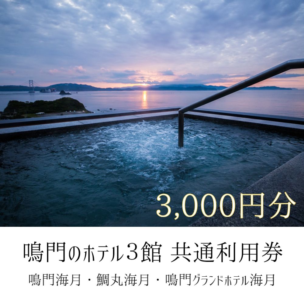 鳴門のホテル3館(鳴門海月・鯛丸海月・鳴門グランドホテル海月)共通利用券(3,000円分) 人気 予約 旅行 宿泊 おすすめ 露天風呂 食事 観光 家族 カップル お土産 ホテル 徳島 鳴門 海水浴