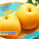 【ふるさと納税】濱田農園 新高梨 約5kg 【数量限定】【9月下旬より順次発送予約受付中】 徳島県産 梨の王様 和梨 豊水 幸水 国産 鳴門