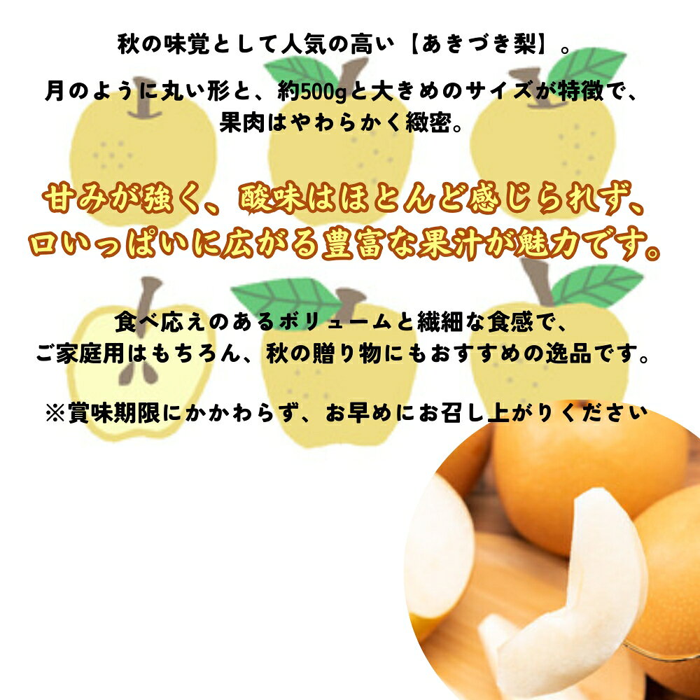 【ふるさと納税】【予約受付中・9月上旬より順次発送】濱田農園 秋月梨 約5kg 【数量限定】 徳島県産 いいとこどり 幻の梨 和梨 香梨 新高 豊水 幸水 国産 鳴門