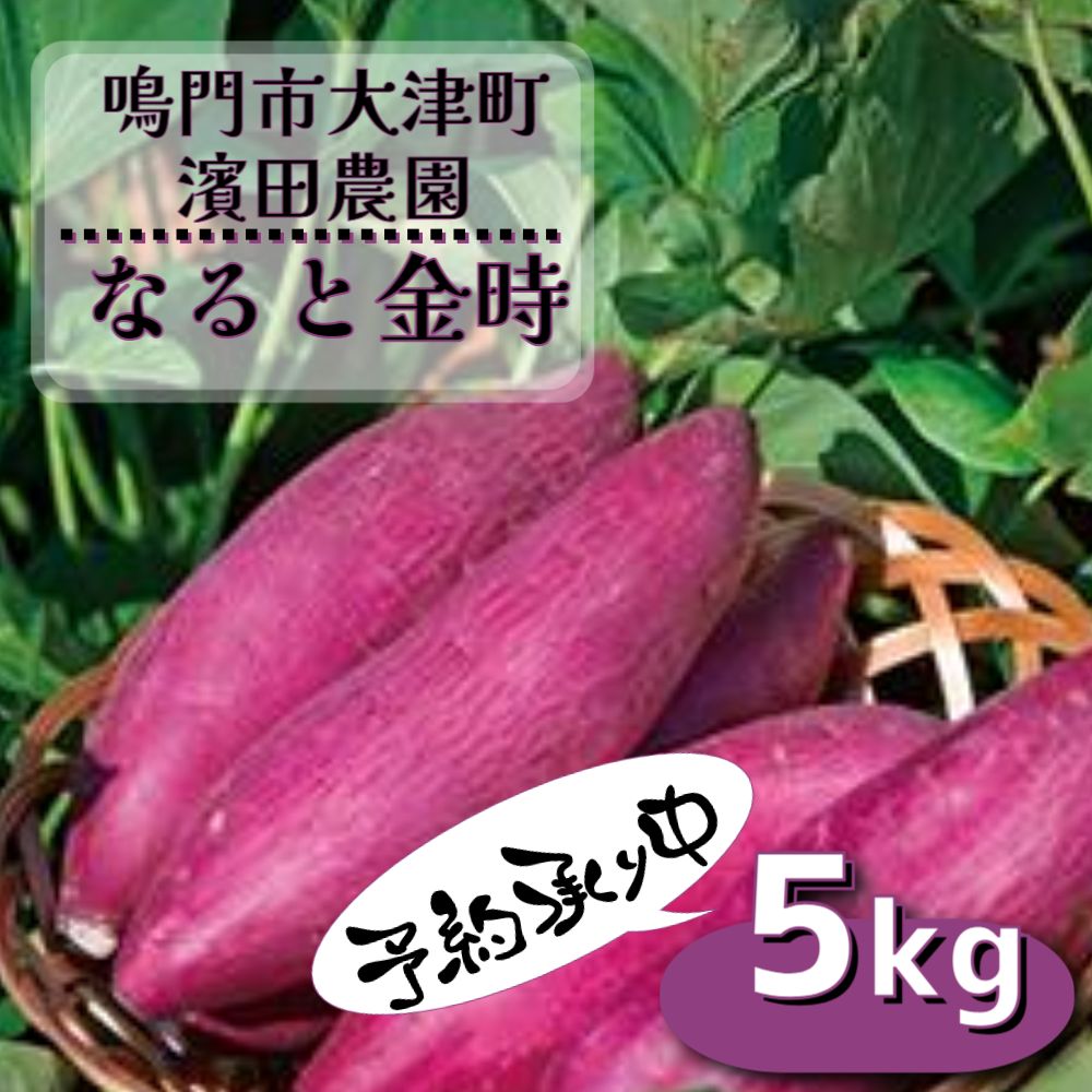 【ふるさと納税】【予約受付中】【訳あり】なると金時 サイズ混合（不揃い） 約5kg【数量限定】｜なると金時 甘い ホクホク 国産 徳島 鳴門 産地直送 スイーツ おやつ 焼き芋 天ぷら 干し芋 離乳食