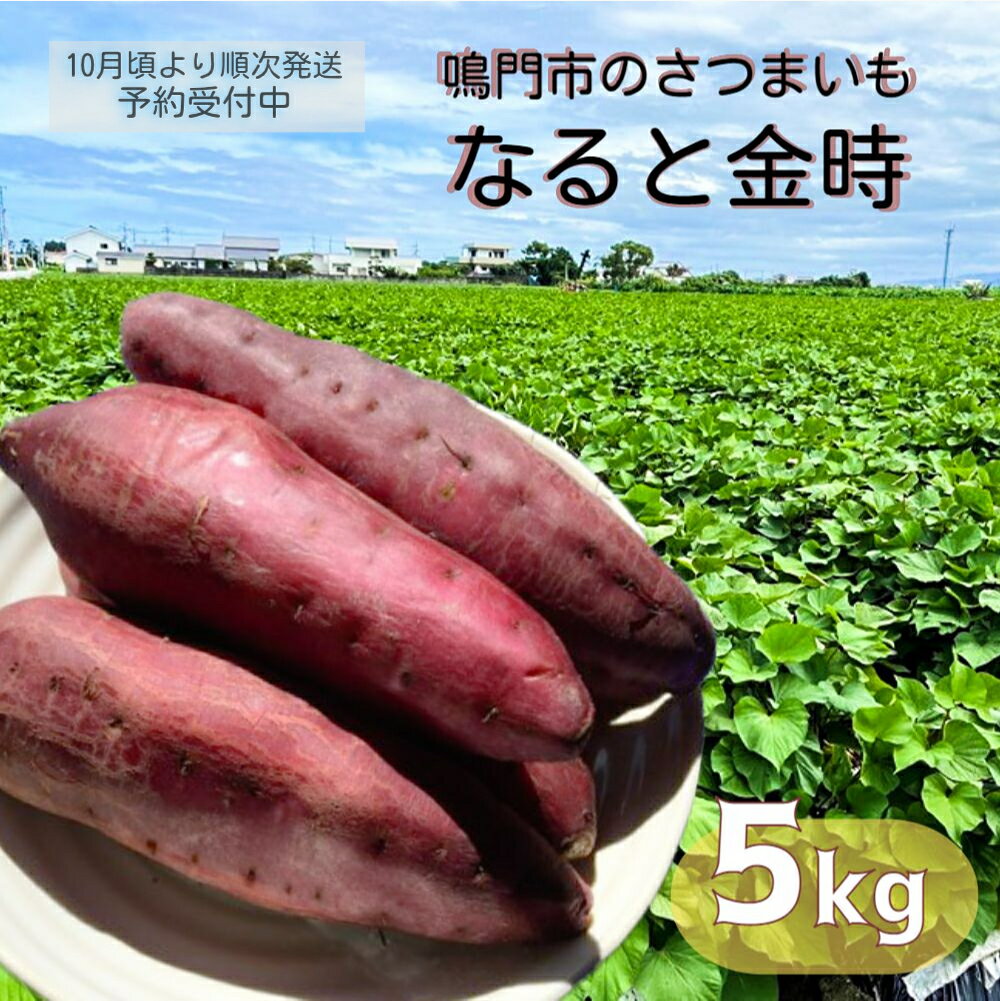 【ふるさと納税】【 予約受付中・2023年10月頃より順次発送 】本場・徳島県鳴門市産「なると金時」約5kg【数量限定】なると金時 ほくほく 甘い 熟成 国産 産地直送 スイーツ おやつ 天ぷら 干し芋 ギフト