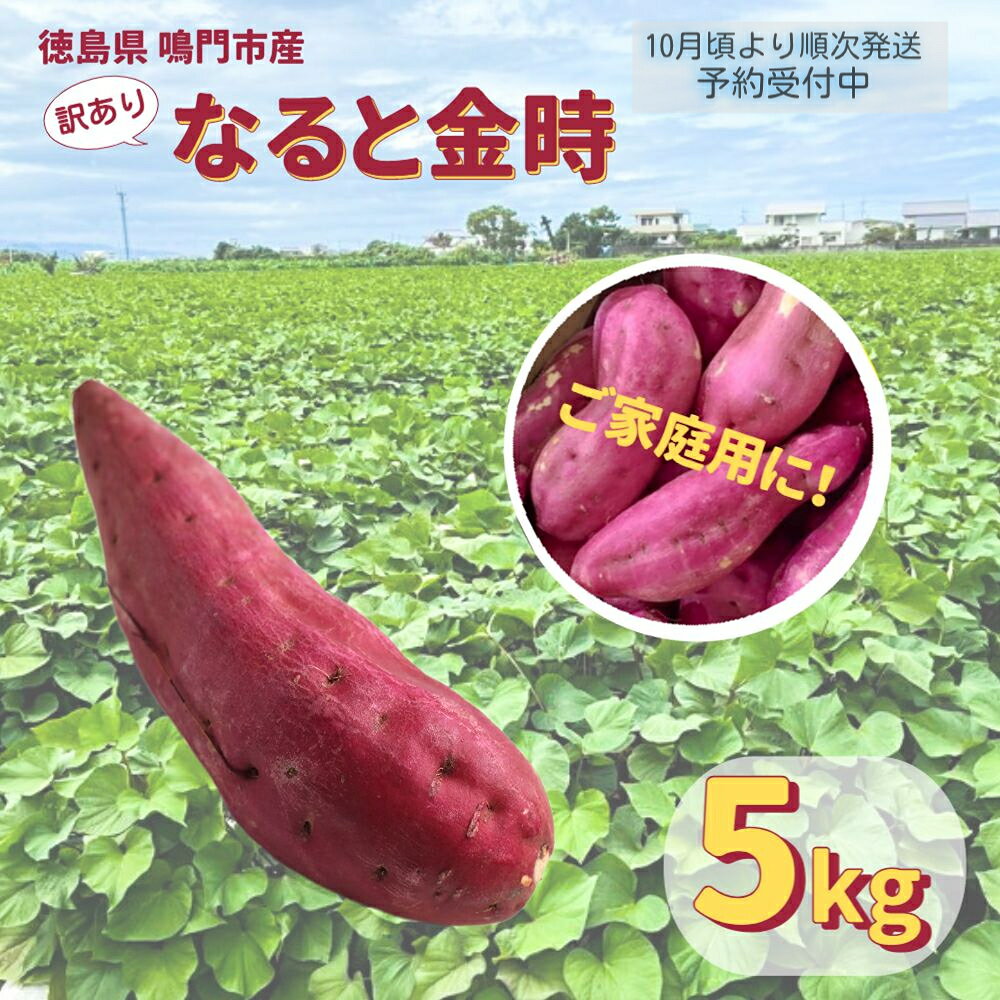 【ふるさと納税】【 予約受付中・2023年10月頃より順次発送 】本場・徳島県鳴門市産「ご家庭用(訳あり)なると金時」約5kg【数量限定】なると金時 ほくほく 甘い 熟成 国産 産地直送 スイーツ おやつ 天ぷら 干し芋 ギフトのサムネイル