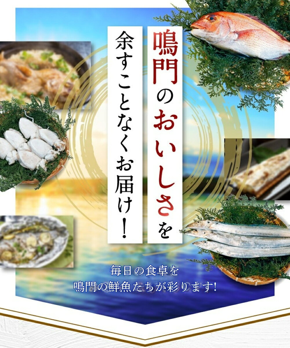 【ふるさと納税】 訳あり 鮮魚セット 3kg （ 4〜5種 ） 【 数量限定 】 ｜ 魚 魚介類 水産加工品 鯛 タイ わかめ 海藻 カワハギ わけあり 人気 ランキング 冷凍 海鮮 詰め合わせ 詰合せ セット お楽しみ おすすめ 下処理 小分け 簡単調理 手軽 徳島 鳴門 産地直送 f362026-naruto-10000904 徳島県鳴門市 サンプル画像2