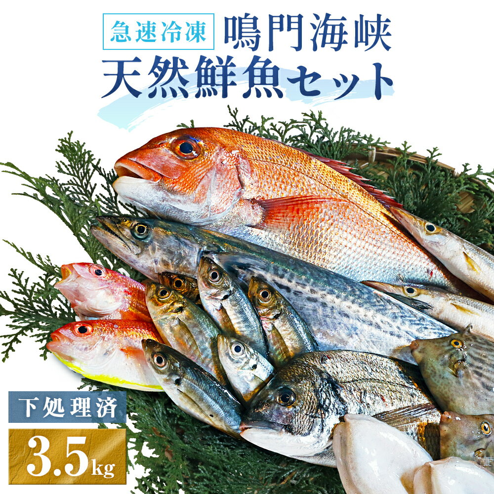 【ふるさと納税】 訳あり 鮮魚セット 3.5kg （ 4～5