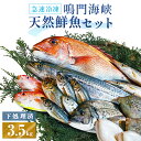 27位! 口コミ数「14件」評価「4.21」 訳あり 鮮魚セット 3.5kg （ 4～5種 ） 【 数量限定 】 ｜ 魚 魚介類 水産加工品 鯛 タイ わかめ 海藻 カワハギ わけあり･･･ 