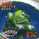 【ふるさと納税】【漁師直送】天然うずしお 生わかめ 350g×5袋 【 減塩 】 鳴門わかめ わかめ 天然 国産 希少 人気 湯通し 塩蔵 味噌汁 みそ汁 スープ お刺身 サラダ 酢の物 和え物