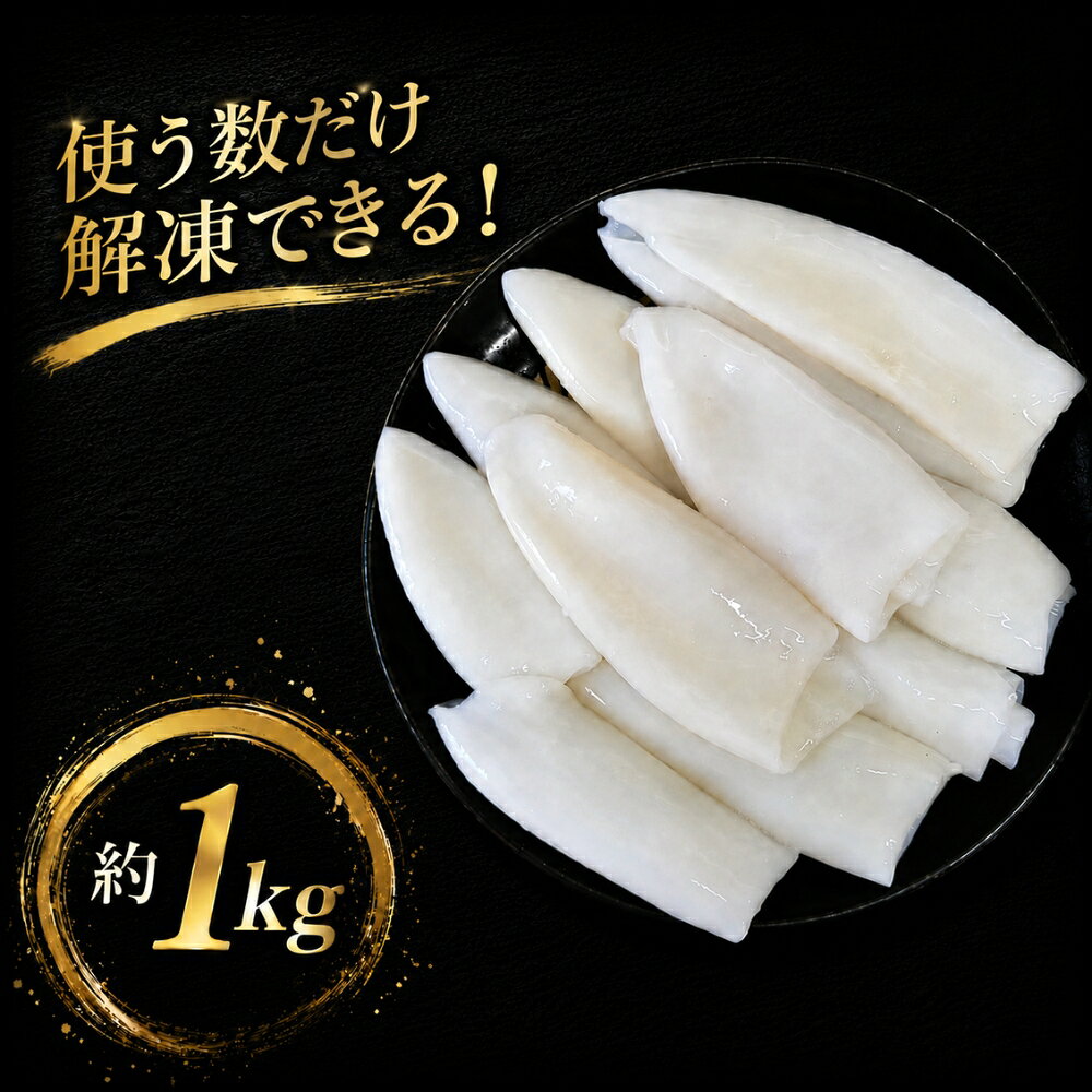 【ふるさと納税】「いかの王様」刺身用　あおりいかむき身｜いか　イカ　生食　刺身　寿司　天ぷら　フライ