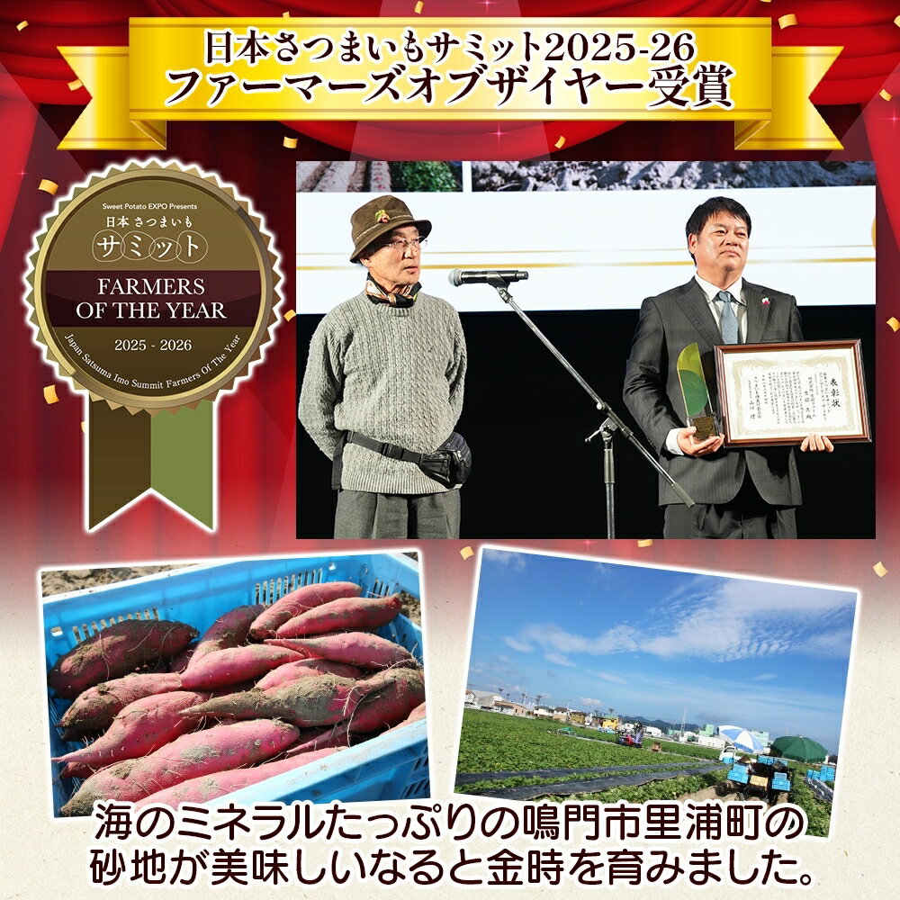 【ふるさと納税】【予約受付中・2026年10月頃より順次発送】吉岡ファームのなると金時満喫セット【ギフト】｜なると金時 ほくほく 甘い 熟成 国産 産地直送 スイーツ おやつ 天ぷら 干し芋 ギフト 2