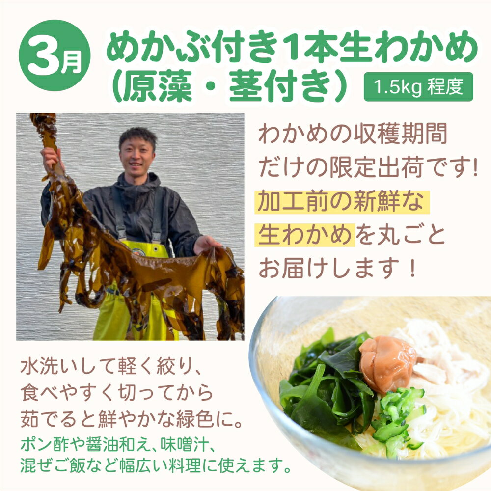 【ふるさと納税】【全4回定期便】鳴門大毛島わかめ・らっきょうセット（1/3/5/7月...